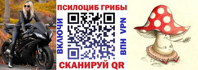 Псилоцибиновые грибы Cubensis  Пыталово 